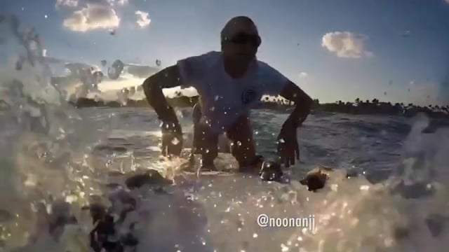 Visit the Palm Beaches