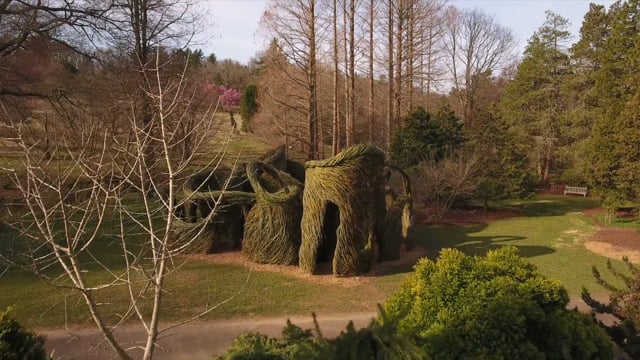 Vimeo video thumbnail