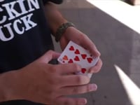 Flow Playing Cards (Deck of MACC)