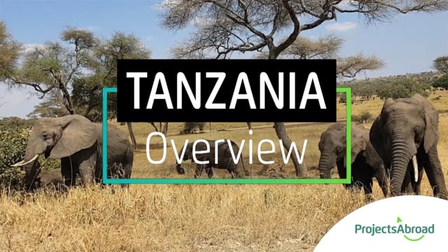 Projects Abroad in Tanzania