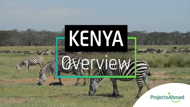 Projects Abroad in Kenya