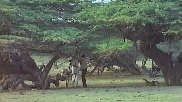 La Bicicleta (1975) - Oscar Molinari