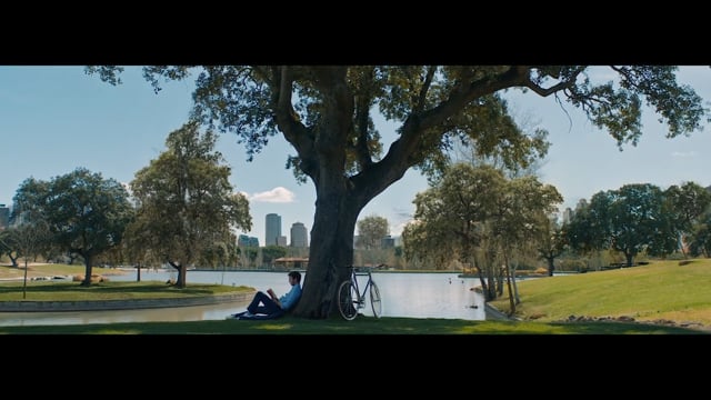 Still de SOJASUN