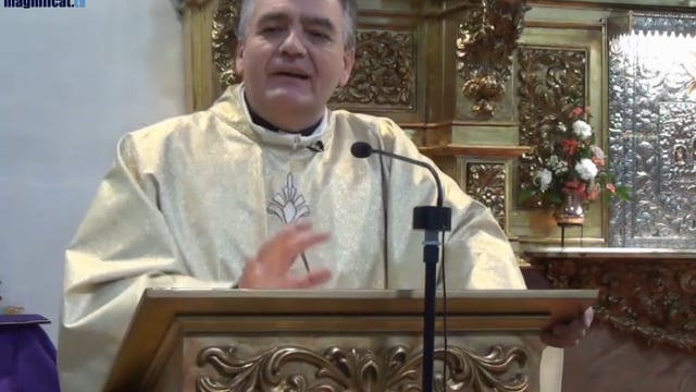 "Peregrinación a las raíces ""Ávila, confianza en Dios"""