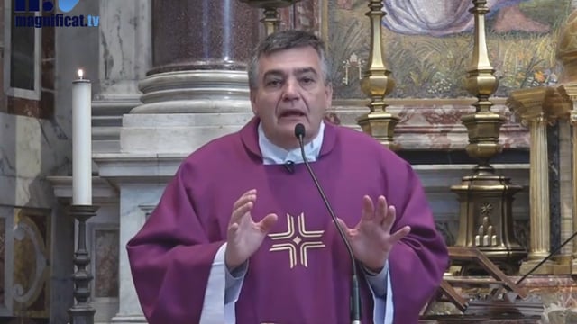 "Peregrinación a las raíces ""En San Pedro con el Papa"""