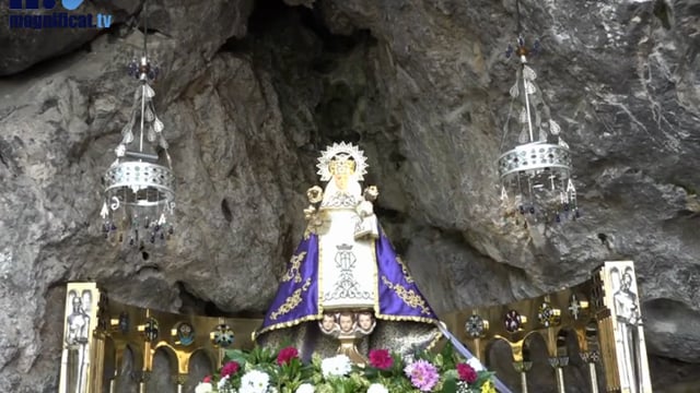 "Peregrinación a las raíces ""Principios Innegociables"""