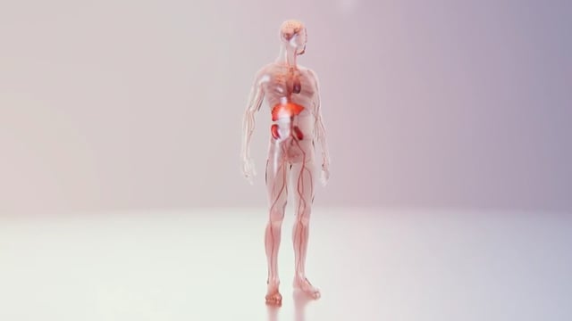 Vimeo video thumbnail