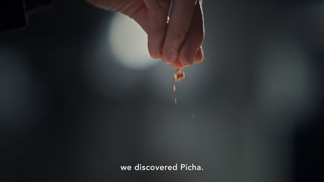 The Picha Project