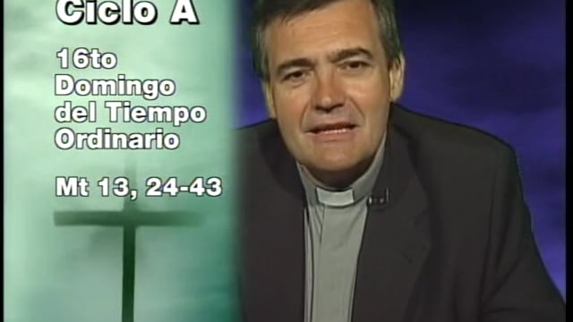 Domingo XVI del Tiempo Ordinario.