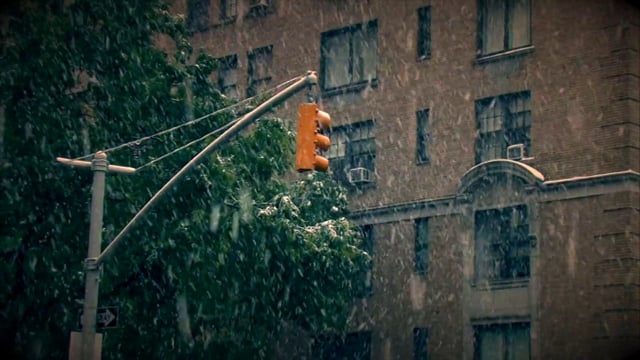 Видео снег в Нью-Йорке