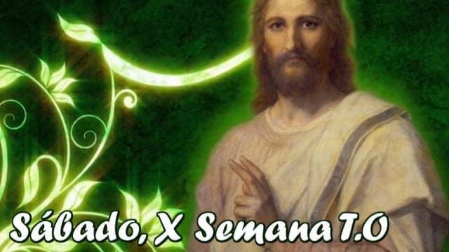 Homilía, sábado X semana del T.O. (15.06.2019)