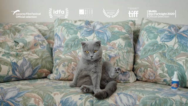 All Cats Are Grey in the Dark (Trailer)