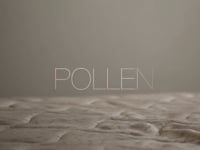 POLLEN