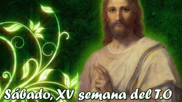 Homilía, sábado XV semana del T.O. (20.07.2019)