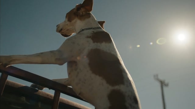 'All the Fires the Fire' teaser