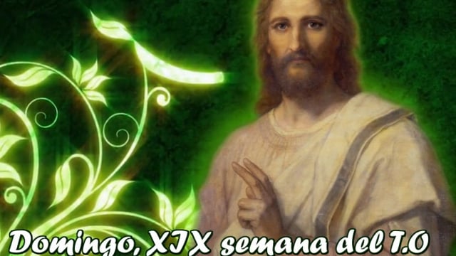 Homilía, domingo XIX semana del T.O (11.08.2019) 