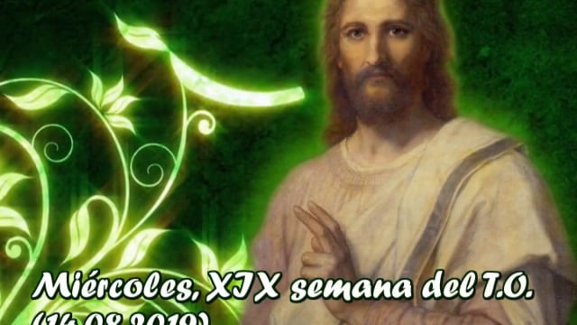 Homilía, miércoles XIX semana del T.O. (14.08.2019)