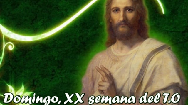 Homilía, domingo XX semana del T.O (18.08.2019)