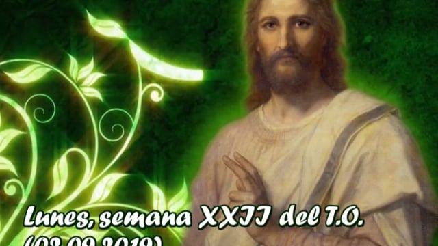 Homilía, lunes XXII semana del T.O. (02.09.2019)