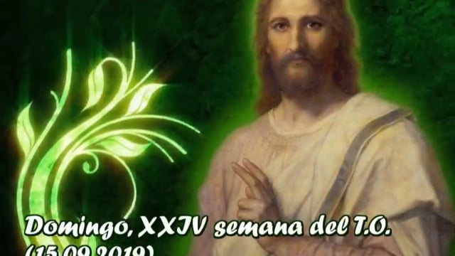 Homilía, domingo XXIV semana del T.O. (04.08.2019)