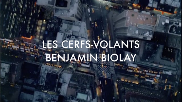 LES CERFS-VOLANTS