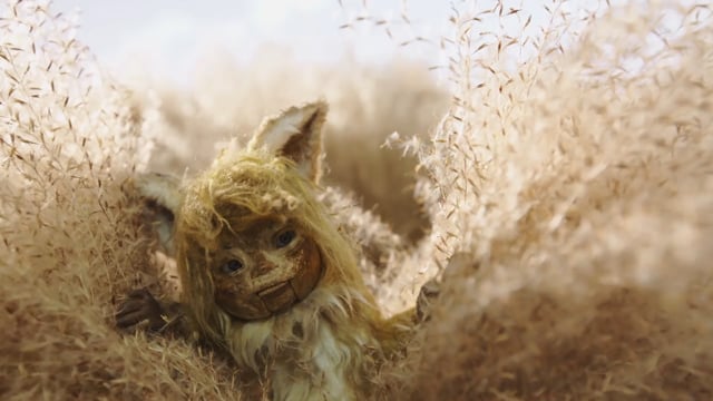 Gon, the Little Fox