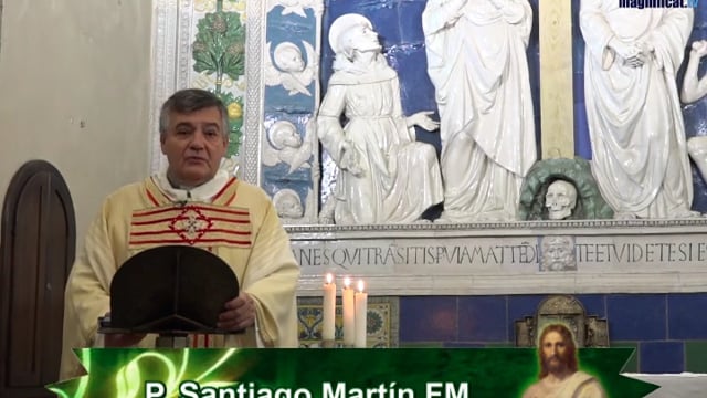 Homilía, San Jerónimo, presbítero y doctor de la Iglesia (30.09.2019)