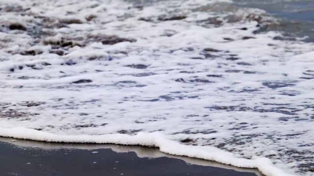 Pierpaolo Pattaro Video&Foto