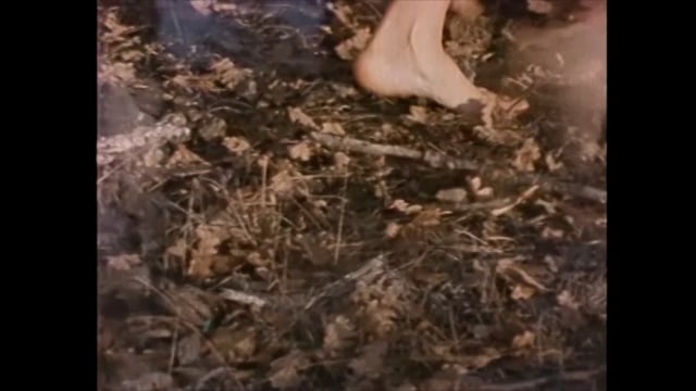 Dykes, Camera, Action!