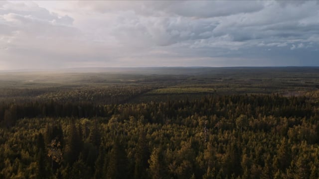 Tree Opera Trailer ENG