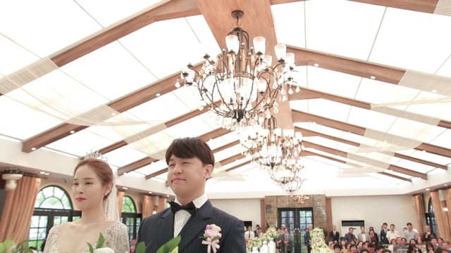 엘루체 Highlight