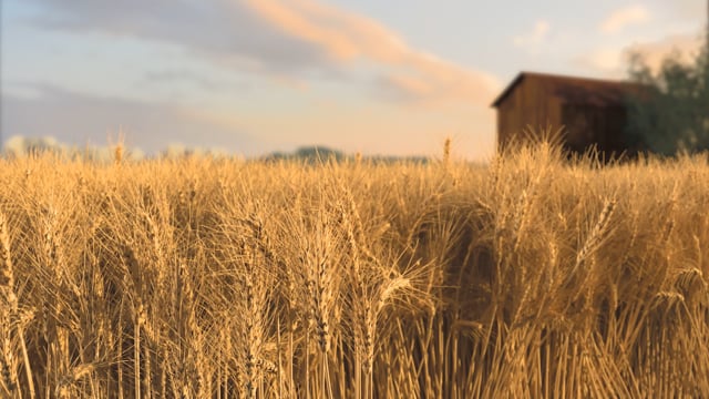 Fall 19 Quarter — Fowler