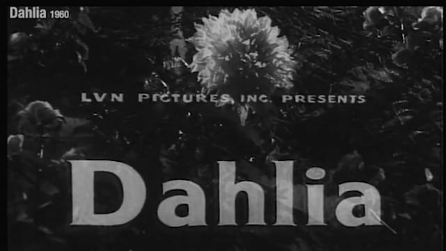 1960 Dahlia Written and Directed by Susana C. de Guzman