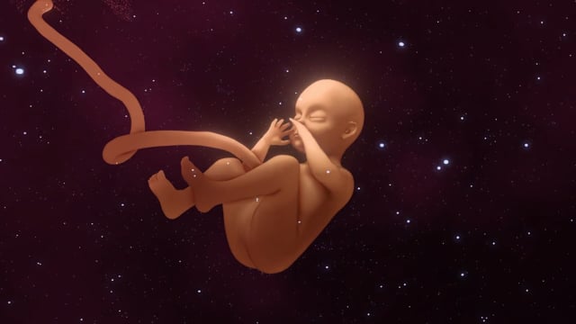 VIDEO MAPPING SHOWREEL