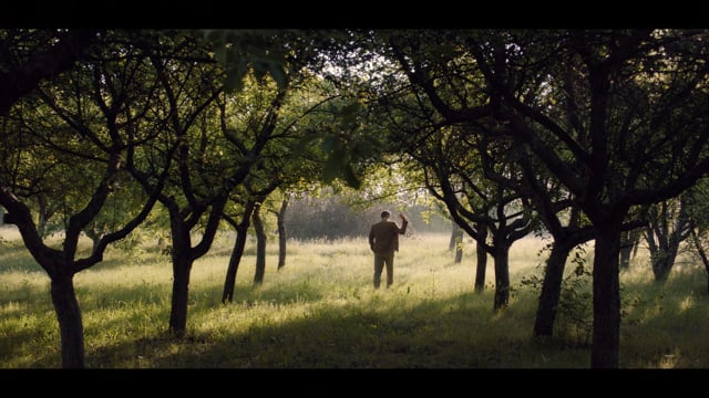 Don Juan kopaszodik /trailer/