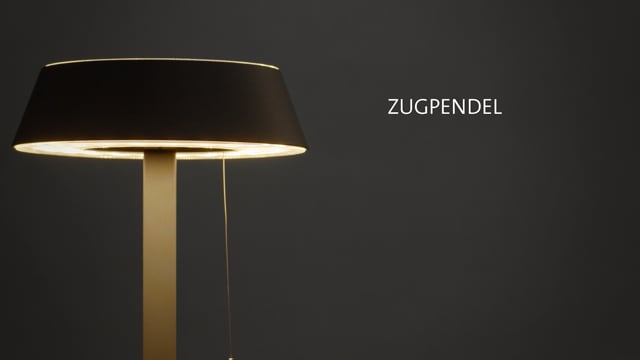 Servicevideo Zugpendel DE