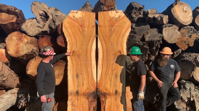 West Coast Arborists