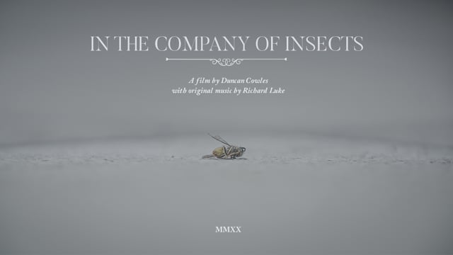 In the Company of Insects (2020) - Trailer