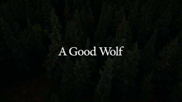 A Good Wolf