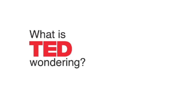 What is TED Wondering