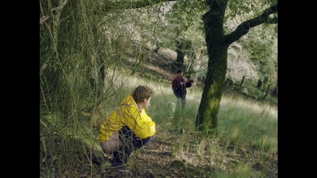 A Chuva Acalanta a Dor / Rain Hums a Lullaby to Pain [Trailer]