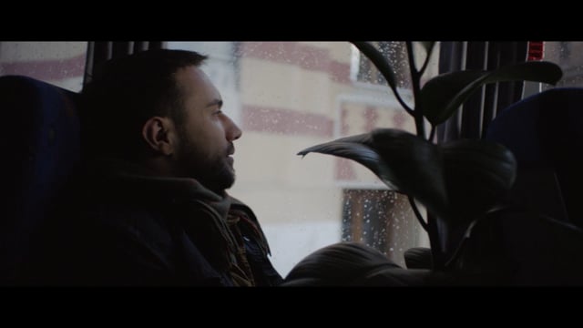 Ficus Trailer