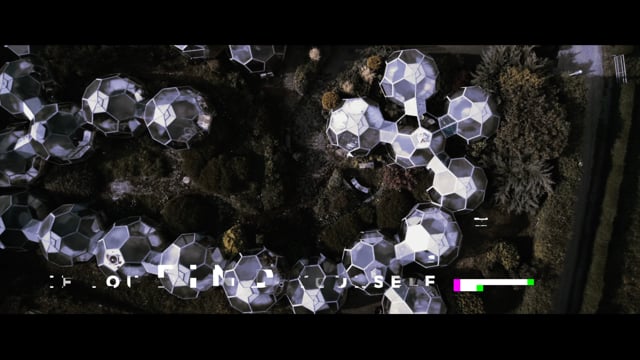 Breakdown Forest - International - 2020 Trailer