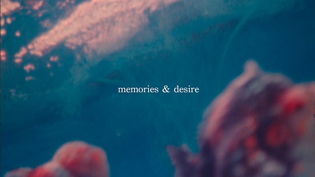 memories & desire