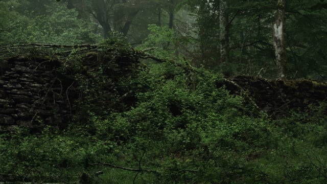 Reserve [trailer]