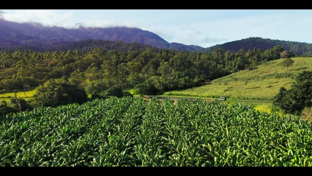 Masterchef — Tourism Events Queensland · Rumble