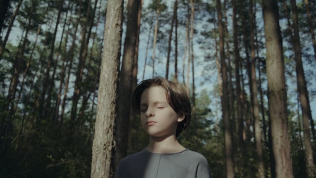 Фаза/The Phase