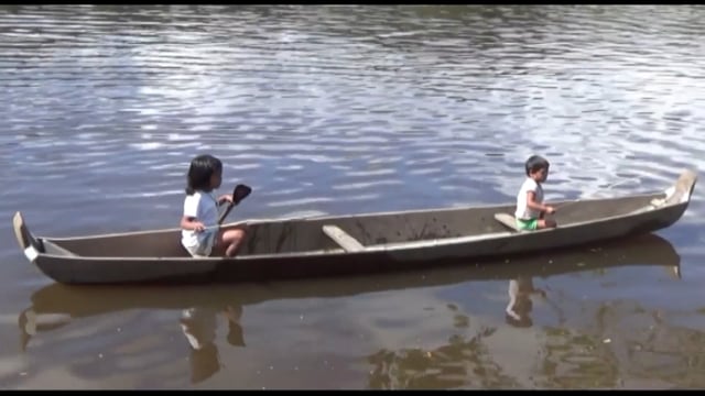 In this video, community researchers from the Wayana community of Antecume Pata in French Guiana explain their fishing techniques and how this maintains their fish populations.