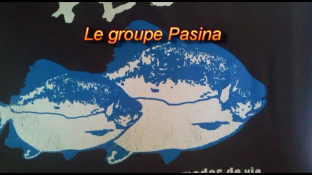 This video is made by Wayana community researchers from Atecume Pata in French Guyana who were inspired by the self-help and good governance principles of the Indigenous communities of the North Rupununi, Guyana. Since they didn’t feel there was sufficient leadership in their village, the researchers decided to form their own club, called Pasina after the name of a small local fish in Wayana.