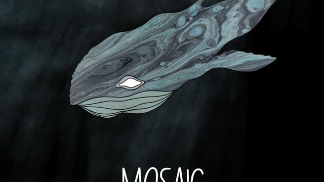 Mosaic by Imge Özbilge & Sine Özbilge (Trailer)
